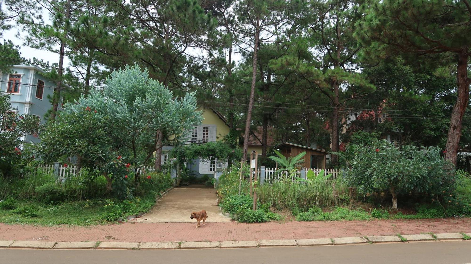 La Maison Homestay Mang Den Kon Tum Екстер'єр фото