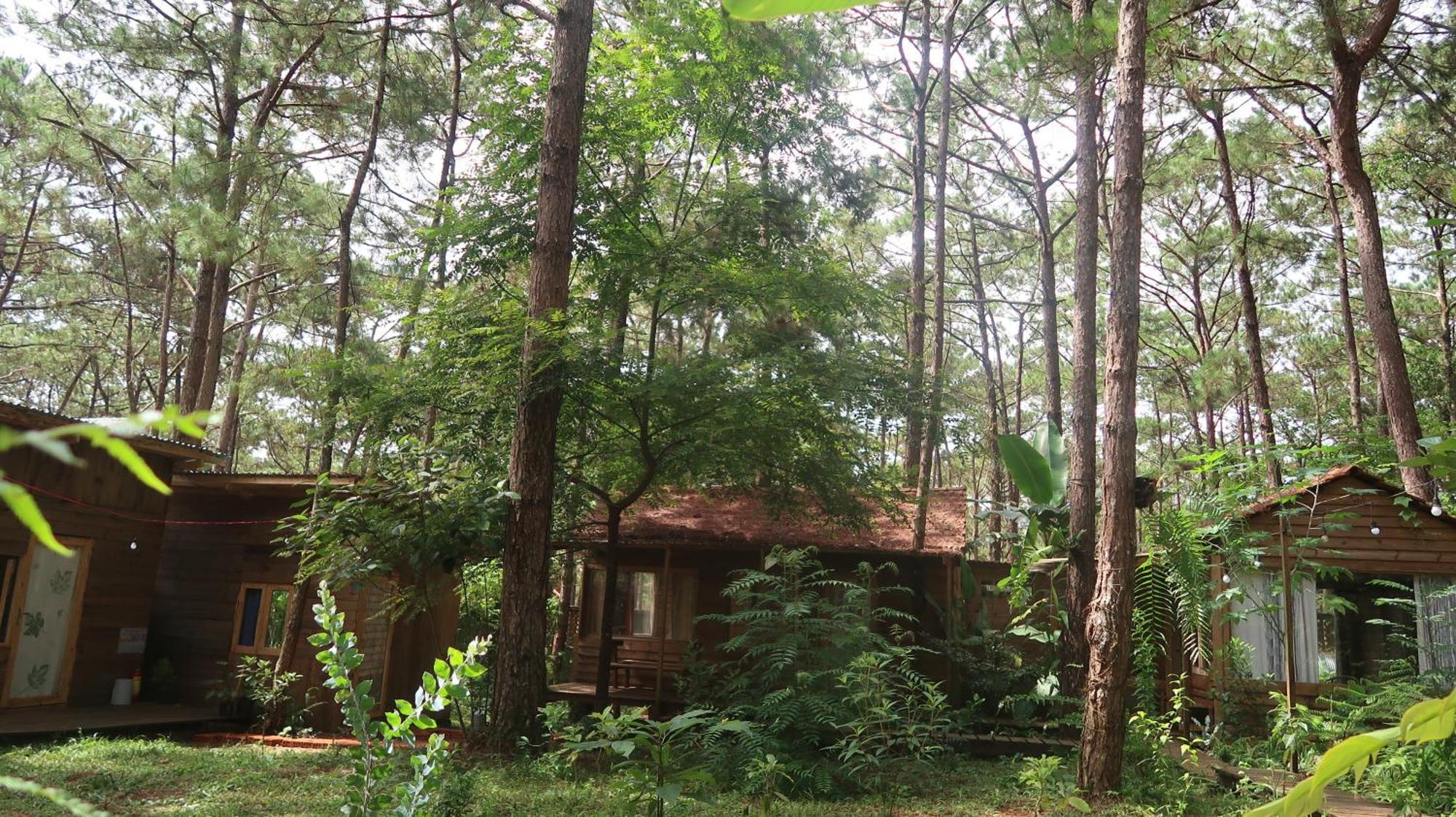 La Maison Homestay Mang Den Kon Tum Екстер'єр фото